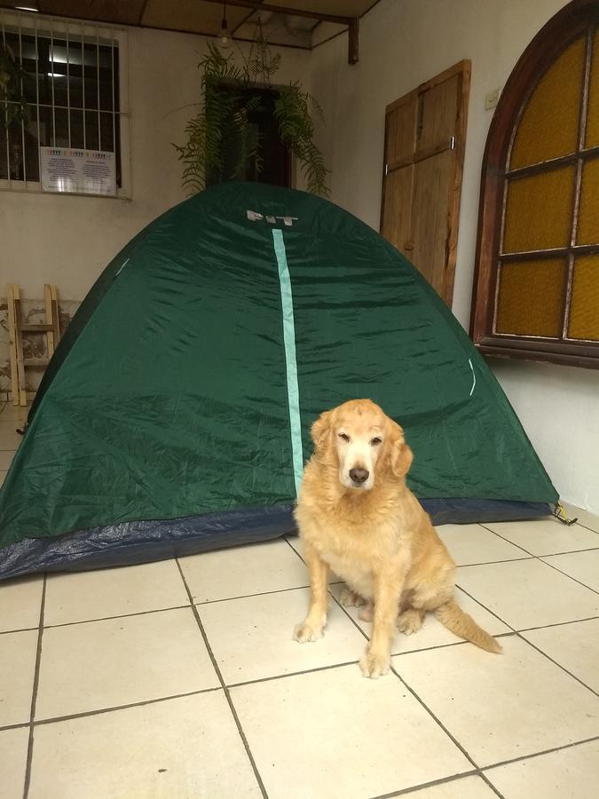 Residencial * São Paulo